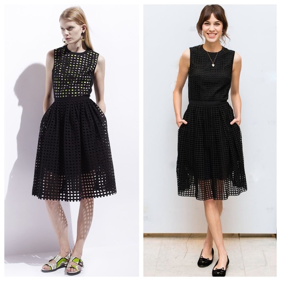 Carven Broderie Anglasie Eyelet Mini Dress - Picture 1 of 8